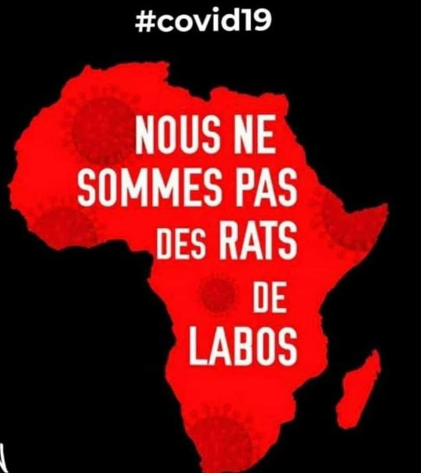 Chronique (En vidéo): » Nous ne sommes pas des rats de Laboratoires ». Du respect pour l’Afrique.