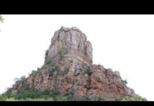 À la découverte de la Roche de Solutré