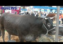 Salon de l’Agriculture 2022: les difficultés des Agriculteurs francais.