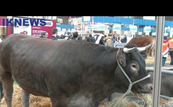 Salon de l’Agriculture 2022: les difficultés des Agriculteurs francais.