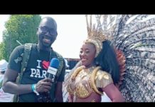 Reportage: Revivez le carnaval de Paris. spectacle sublime, les réactions. immersion..