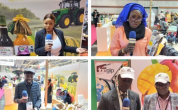 Reportage SIA2023: à la rencontre des Ambassadeurs du Made in Sénégal.