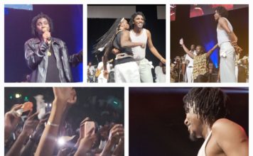 Revivez le Concert de Waly Seck au Dôme de Paris. L’artiste en symbiose avec un public conquis jusqu’au levée du jour.