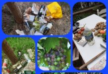 Les fleurs du mal ou l’initiative de Marlène, résidente d’un immeuble parisien face aux incivilités de certain(e)s voisin(e)s