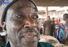 Abondance de poissons au Sénégal vrai ou Faux? Réponses des professionnels du marché central