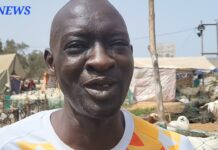 Grand Format: les sénégalais à la recherche du mouton pour la Tabaski.